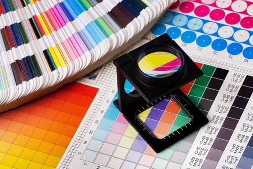 color palettes for web design trends