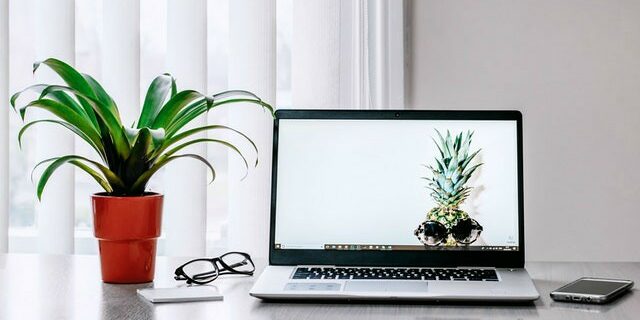desk with plant and computer sustainable workforce