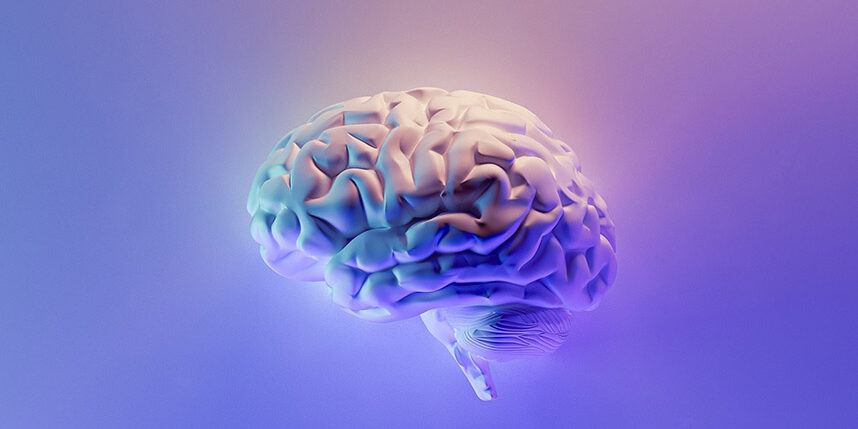 Image of a brain on a pink and purple background